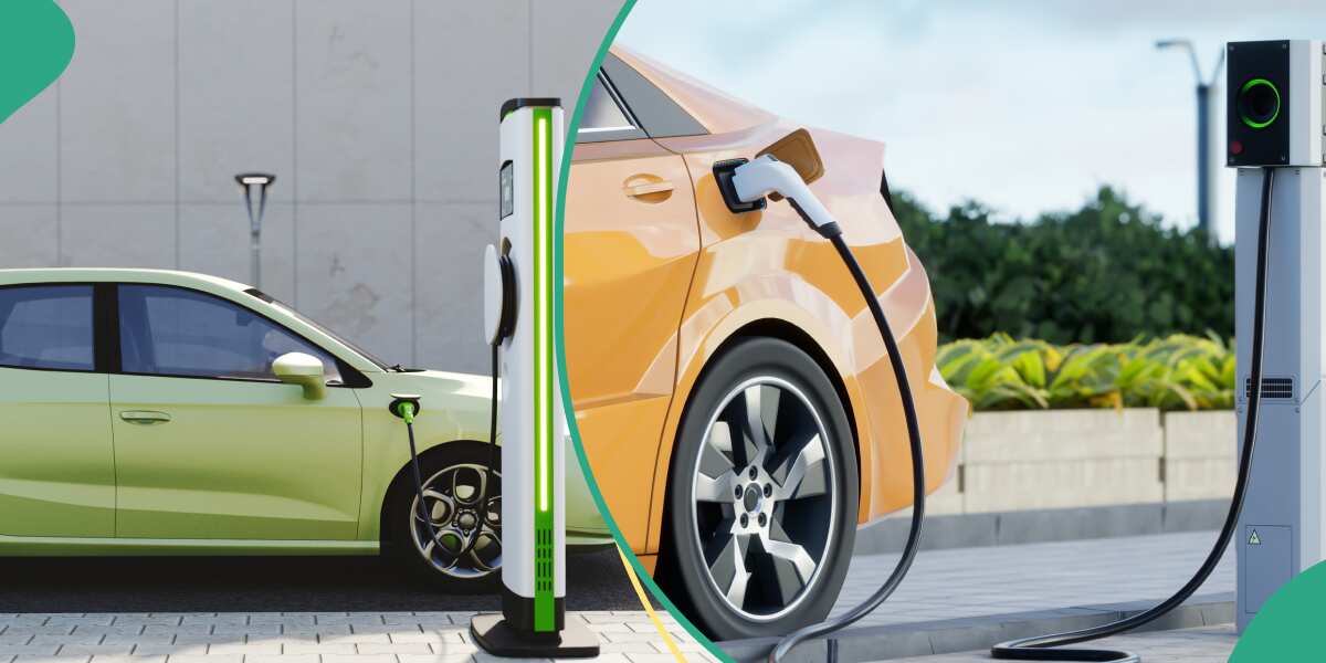 Company showcases made-in-Nigeria electric vehicles, one sells for N137m