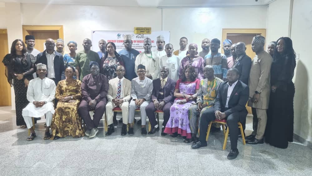 Many Industries Closing Down Due To Epileptic Power Supply – ECN DG