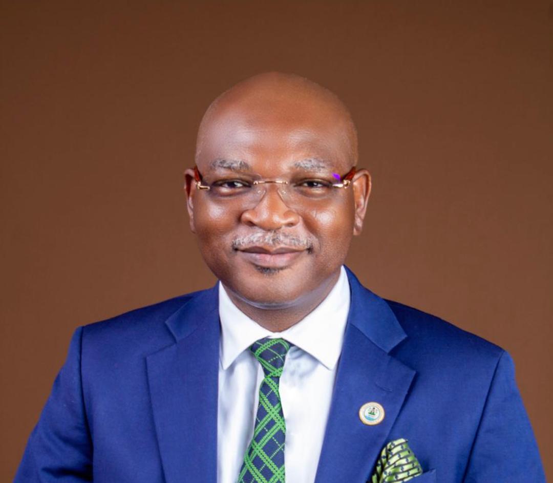 Nigeria advances gas transition with operational pipelines, CNG facilities – Businessday NG