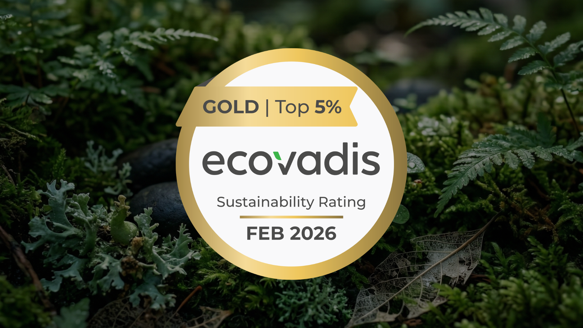 EcoVadis Gold Medal: EVBox Recognized for Its CSR Performance – EVBox