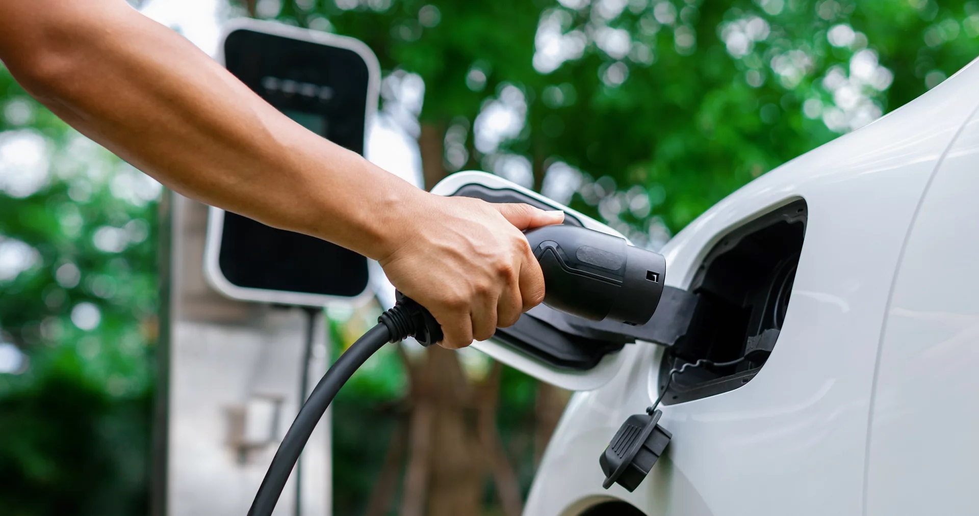 Global EV Demand Rises for Fifth Month as Europe Offsets Weakness in China, North America – Tekedia