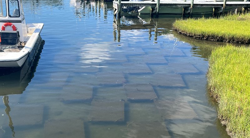 Slurp Down That Oyster – You’re Helping To Restore Water Quality – CleanTechnica